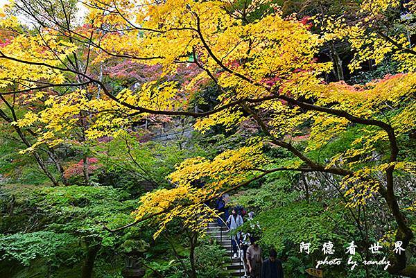 京都2D810 072.JPG