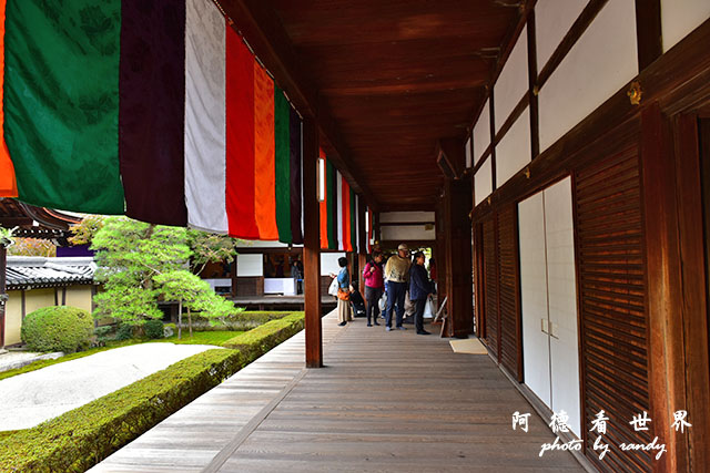 京都2D810 068.JPG