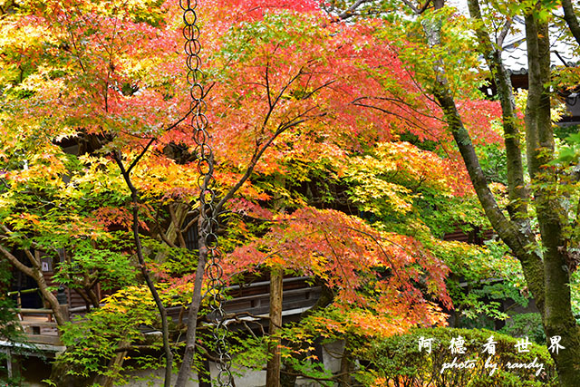 京都2D810 060.JPG