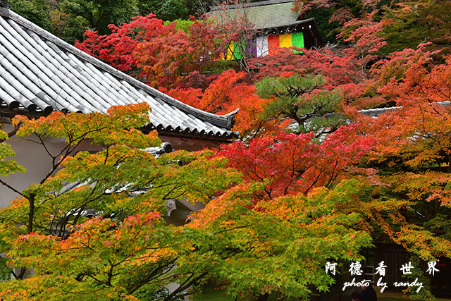 京都2D810 077.JPG