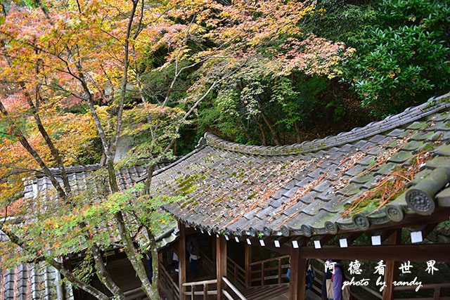 京都2D810 087.JPG