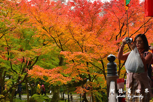 京都2D810 083.JPG