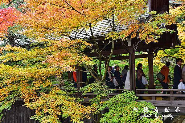 京都2D810 075.JPG