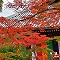 京都2D810 089.JPG