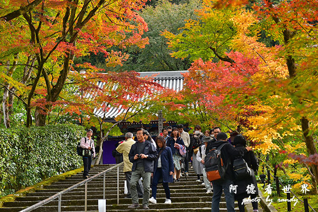 京都2D810 091.JPG