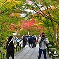 京都2D810 094.JPG