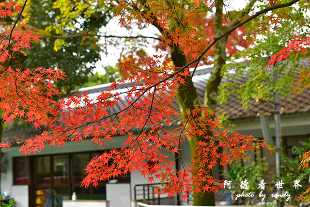 京都2D810 093.JPG