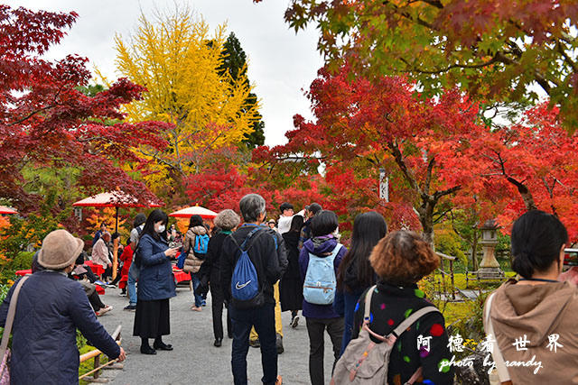 京都2D810 118.JPG