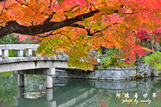 京都2D810 120.JPG