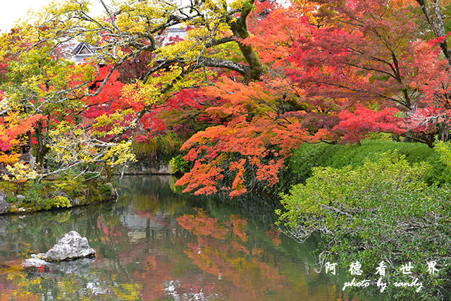 京都2D810 113.JPG