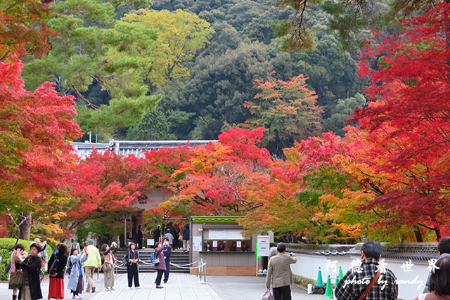 京都2SX740 031.JPG