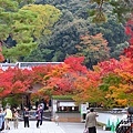 京都2SX740 031.JPG