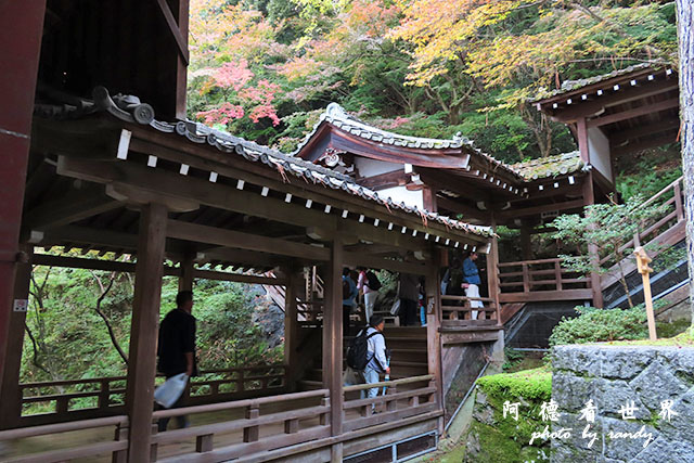 京都2SX740 128.JPG