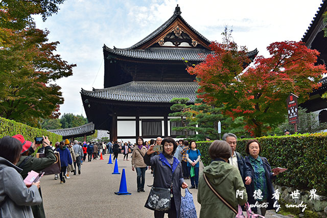 京都2D810 240.JPG