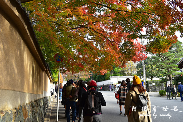 京都2D810 230.JPG