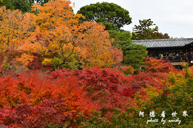 京都2D810 236.JPG