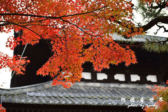 京都2D810 248.JPG