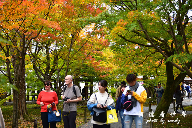 京都2D810 257.JPG