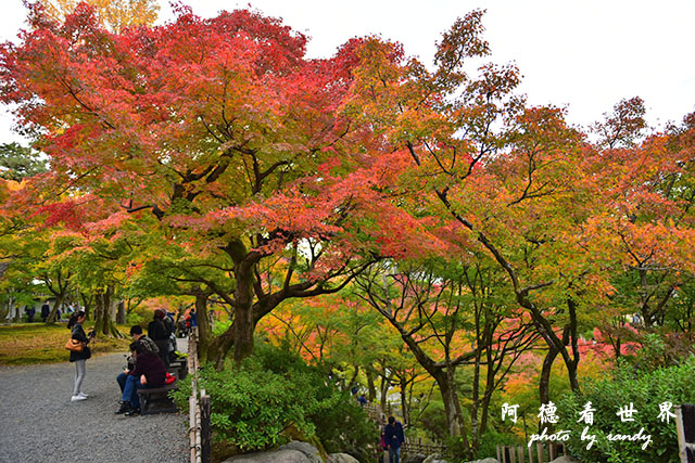 京都2D810 263.JPG