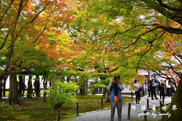 京都2D810 258.JPG