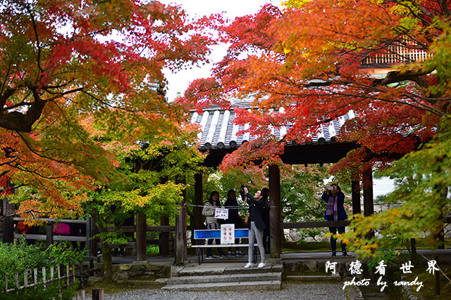 京都2D810 260.JPG