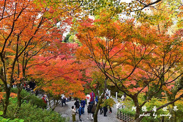 京都2D810 287.JPG