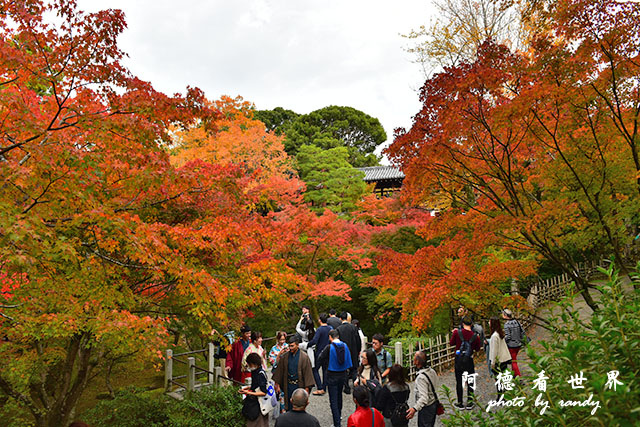 京都2D810 290.JPG