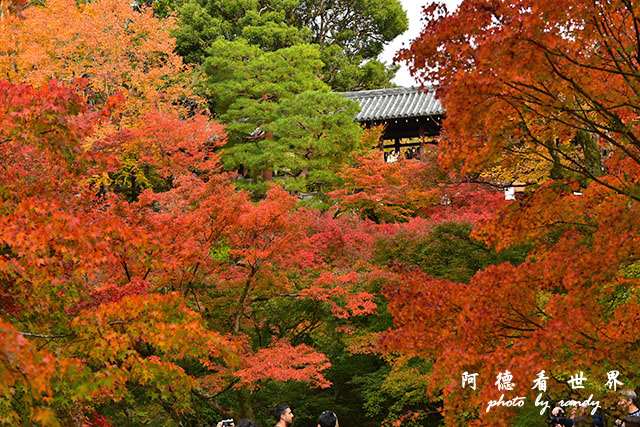 京都2D810 291.JPG