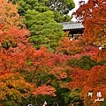 京都2D810 291.JPG