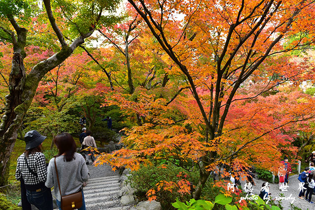 京都2D810 288.JPG