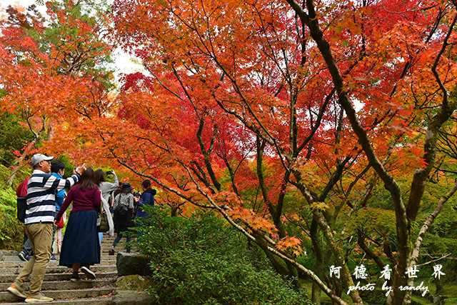 京都2D810 299.JPG