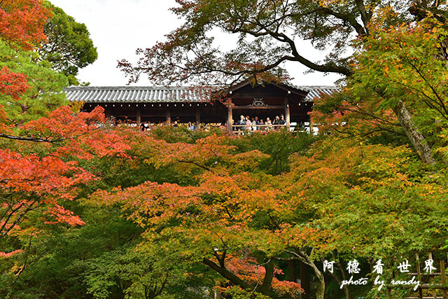 京都2D810 294.JPG