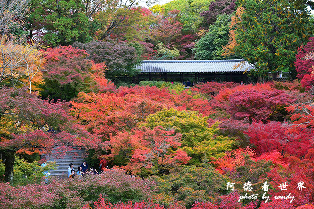 京都2D810 326.JPG