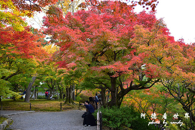 京都2D810 332.JPG