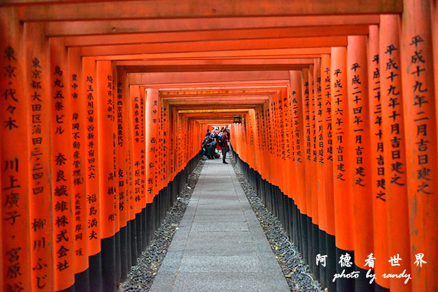 京都2D810 369.JPG