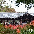 京都2SX740 303.JPG