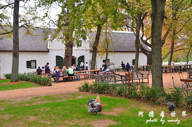 stellenbosch2D7000 228.JPG