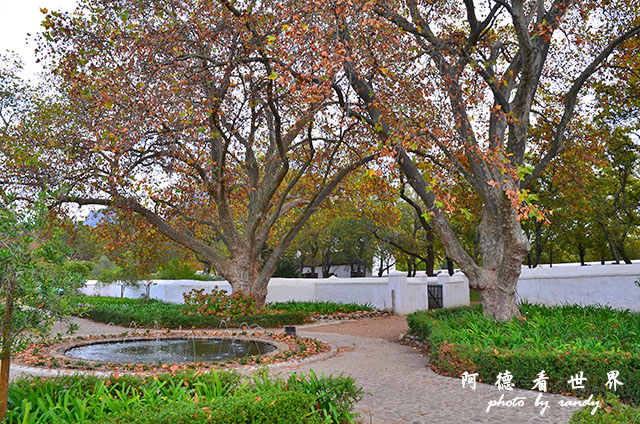 stellenbosch2D7000 254.JPG