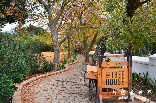 stellenbosch2D7000 272.JPG