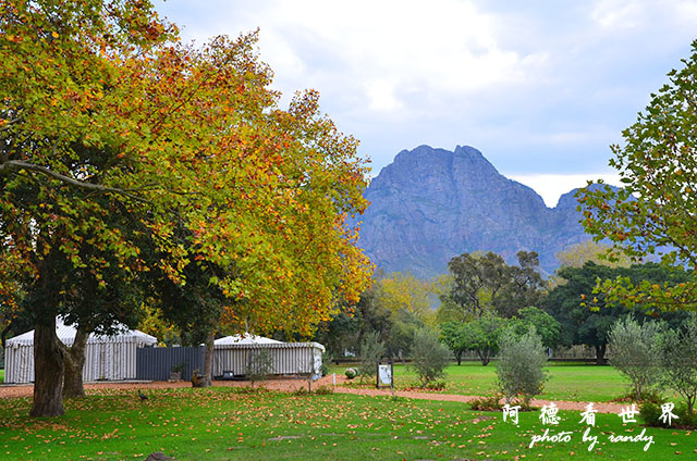 stellenbosch2D7000 270.JPG