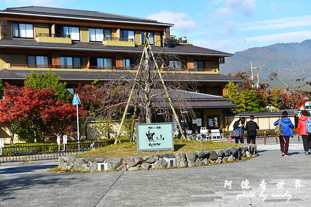 京都3D810 008.JPG