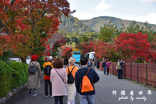 京都3D810 047.JPG