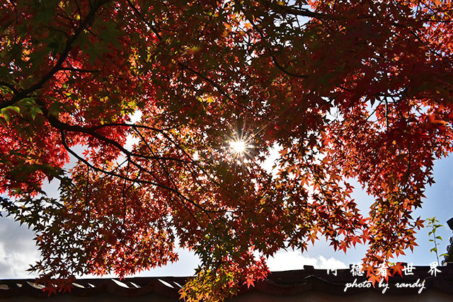 京都3D810 053.JPG