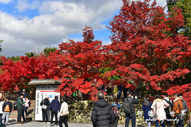 京都3D810 059.JPG