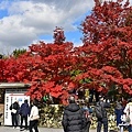 京都3D810 059.JPG