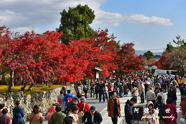 京都3D810 071.JPG