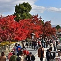 京都3D810 071.JPG