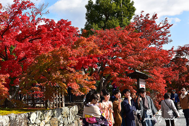 京都3D810 068.JPG