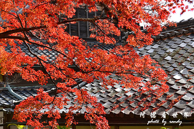 京都3D810 094.JPG