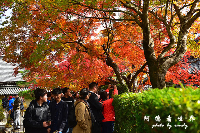 京都3D810 087.JPG